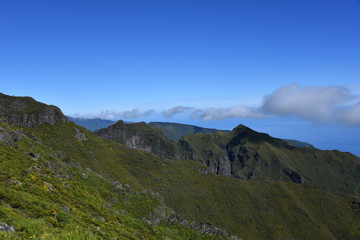 Obraz premium Landscape of green mountains of Madeira Island - view from the trial to Pico Ruivo.