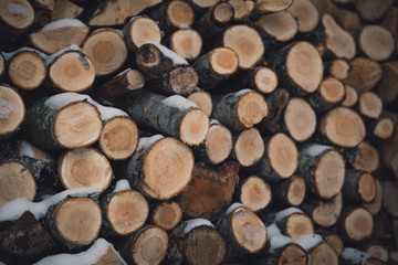 firewood with wood. logs close-up