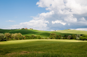 Italien, Toskanalandschaft im Sommer in der Nähe von Siena