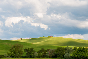 Italien, Toskanalandschaft im Sommer in der Nähe von Siena