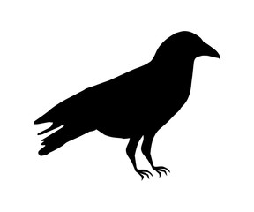 カラスのシルエットイラスト/アイコン/白黒/モノトーン