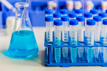 Medical diagnostic laboratory. Samples of the material for testing in test tubes.