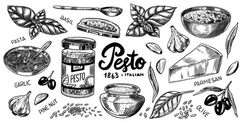 Pesto sauce set. Basil leaves, garlic, pine nuts, hard parmesan cheese, olive oil, pesto alla genovese. Spicy condiment, glass bottle, wooden spoon or dish, bunch of seeds. Engraved hand drawn sketch. - obrazy, fototapety, plakaty