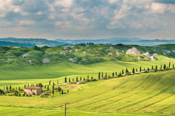 Getreidefelder der Crete Senesi in der Toskana bei Siena im Sommer