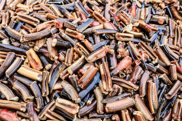 Raw eel food ingredients.natural ingredients.