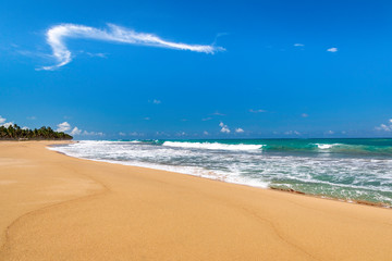 Wild beach Laguna del Limon, Dominican Republic. © Armensl