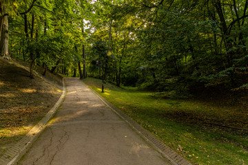 peaceful city park green foliage outdoor scenic nature environment asphalt road for walking and promenade in sun rise morning time