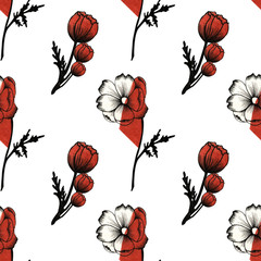 watercolor and black pencil illustration. hand painted. Cosmea seamless pattern on a white background.