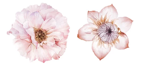 Blumen-Aquarell-Illustration.Manuelle Komposition.Big Set-Aquarell-Elemente. © lin