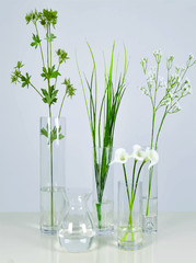 lily of the valley in vase on blue background