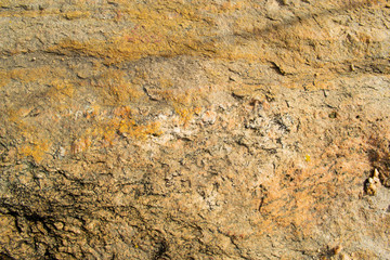 Background and texture of red rock