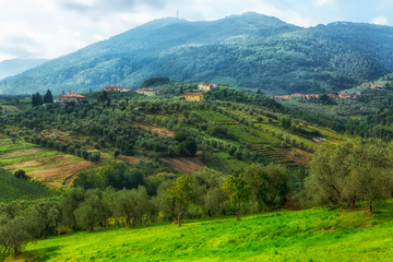 Fototapeta na wymiar Green Tuscany Landscape