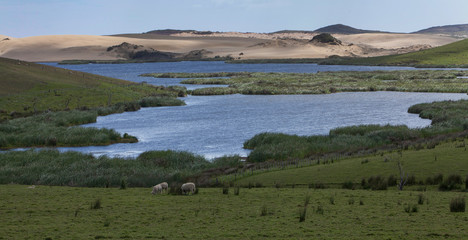 Te Paki. Lake and Giant sand dunes. Cape reinga New Zealand