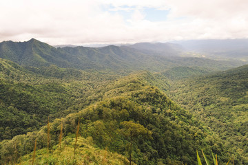 Naklejka premium landscape with mountains and trees