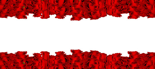 Red rose flower border. Isolated on white. Double frame and banner format. Copy space for your text in the center.