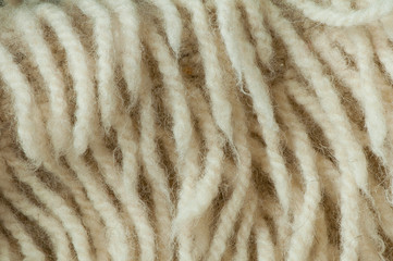 Wool fibers
