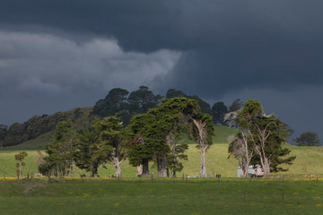 Fototapeta na wymiar Kaipara. Maitahi dark rain and thunderclouds. Countryside. 
