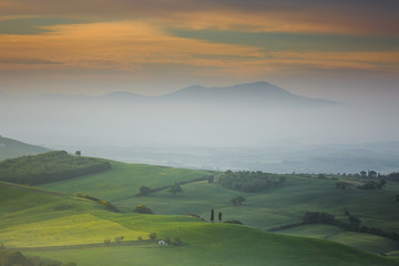 Fototapeta premium Impressive spring landscape,view with cypresses and vineyards ,Tuscany,Italy