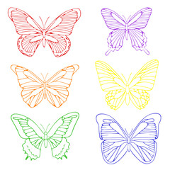 Plakat Set of beautiful colorful butterflies. Hand drawn pattern. Outline drawing.