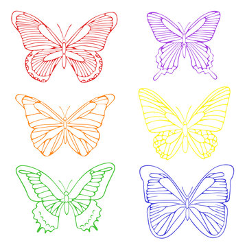Set of beautiful colorful butterflies.  Hand drawn pattern. Outline drawing.