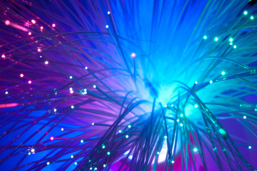Optical fibers