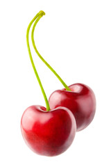 two cherries on a green branch