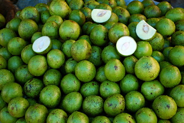 Raw Mangoes, beautifully decorated in New Market, Bhopal, Madhya Pradesh, India..