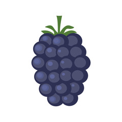 Blackberry icon. Fresh sweet fruit. Can be used as logo, logo, web print, sticker.