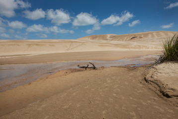 Fototapeta na wymiar Giant Sand Dunes near Ninety Mile Beach Nortland New Zealand.