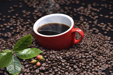 coffee beans and coffee