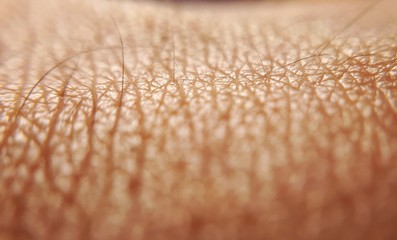 Human skin close up background