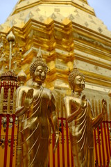 Bouddhas dorés