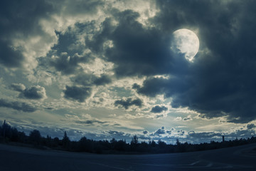 Fototapety na wymiar - Fototapeta24.pl