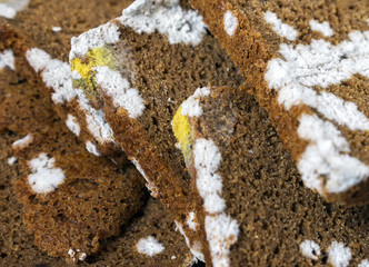 Sliced brown bread with fungal mold. Spoiled, moldy inedible food. Close-up, selective focus.