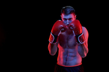 Young muscular boxer in boxing gloves standing in front of camera ready to fight his rival over black background - obrazy, fototapety, plakaty