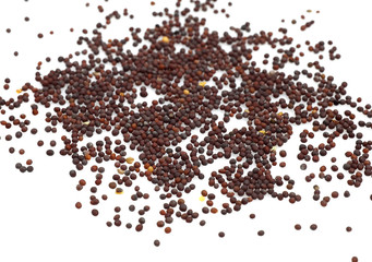 GRAINE DE MOUTARDE NOIRE