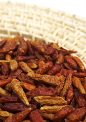 PIMENT OISEAU