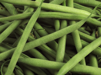 HARICOT VERT