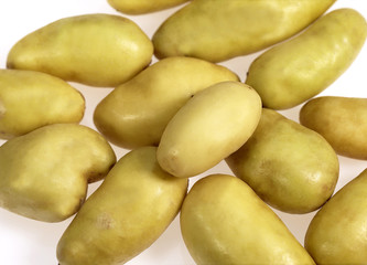 POMME DE TERRE CHARLOTTE