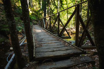 Wooden bridge with steps on the eco-trail along the rocks and mountain river in Bulgaria, Smolyan city. Equipped tourist road through the forest for sightseeing tours and walks