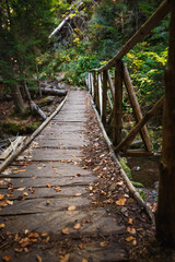 Wooden bridge with steps on the eco-trail along the rocks and mountain river in Bulgaria, Smolyan city. Equipped tourist road through the forest for sightseeing tours and walks