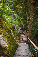 Fototapeta premium Wooden bridge with steps on the eco-trail along the rocks and mountain river in Bulgaria, Smolyan city. Equipped tourist road through the forest for sightseeing tours and walks