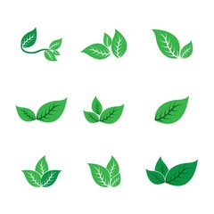 Fototapeta na wymiar Green leaf ecology nature element vector icon