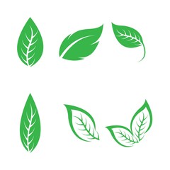 Green leaf ecology nature element vector icon