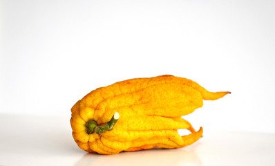 Buddha's hand lemon on background. Unusual citrus fruit from Asia.