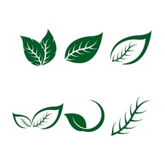 Green leaf ecology nature element vector icon