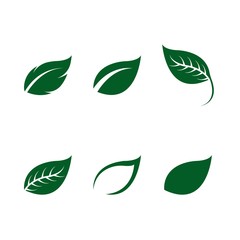 Green leaf ecology nature element vector icon