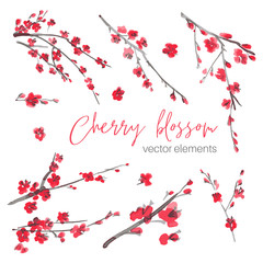 Vector set of branches with pink flowers on a white background