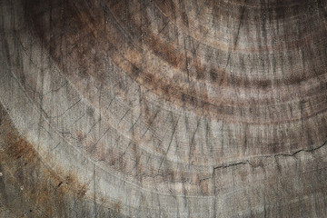Fototapeta premium brown wood lumber log texture background