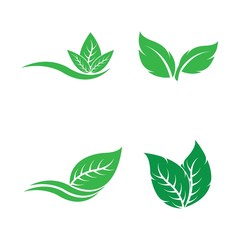Green leaf ecology nature element vector icon